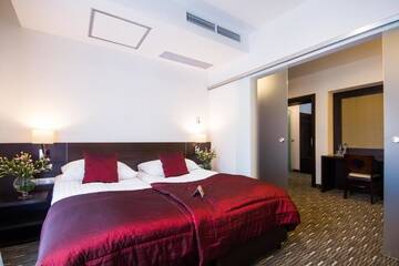Фотографии Отель Park Hotel Diament Zabrze - Gliwice г. Забже (Польша) №4 Фото Отель Park Hotel Diament Zabrze - Gliwice г. Забже 4